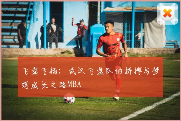 飞盘飞扬：武汉飞盘队的拼搏与梦想成长之路MBA