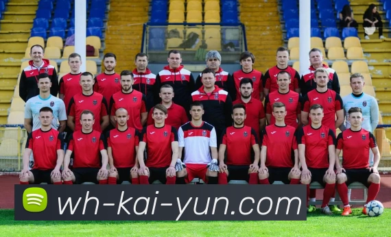 开云app下载平台生态图