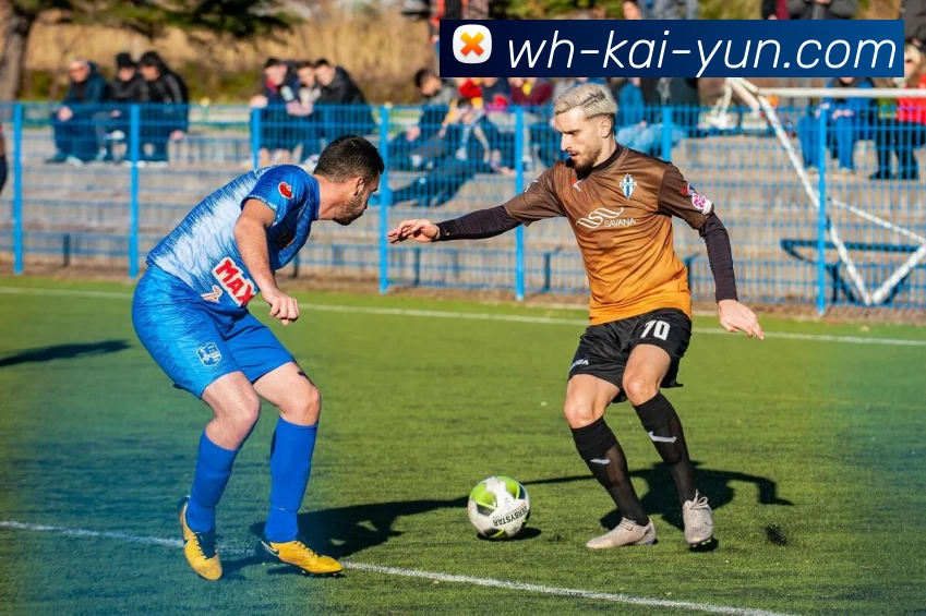 开云app下载APP 封面图